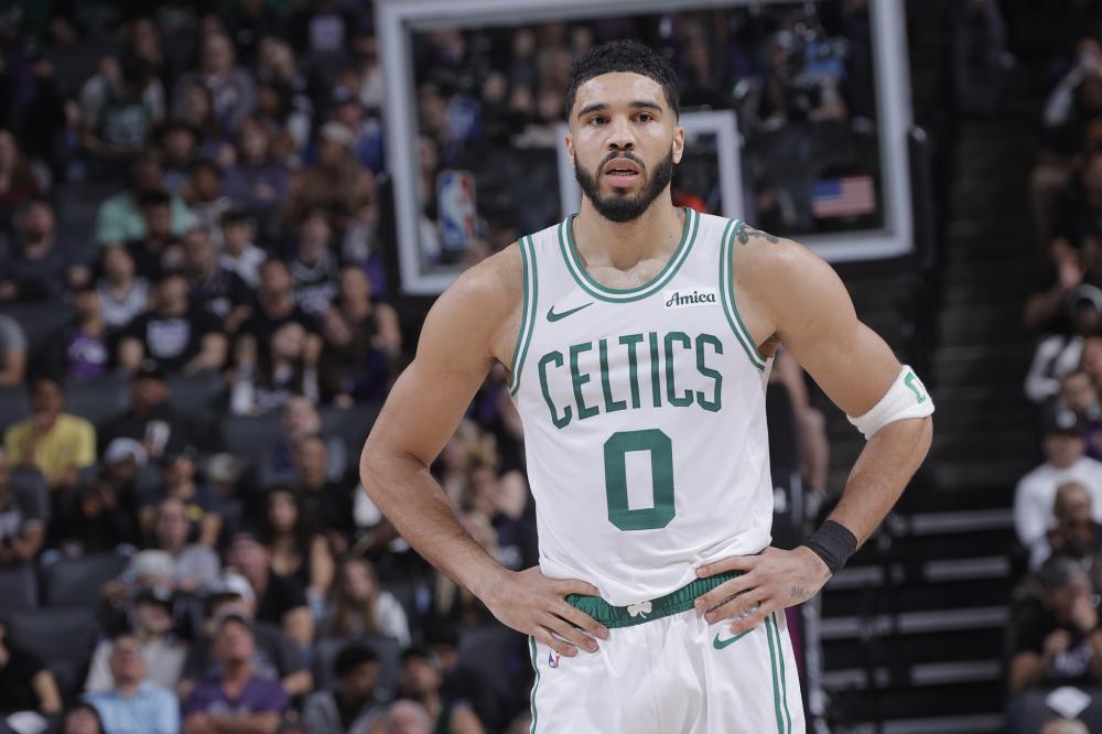 他们不仅提 他们不仅提