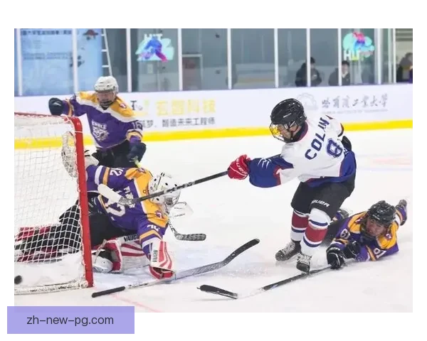 全新季冰球联赛：热血激战、风云再起