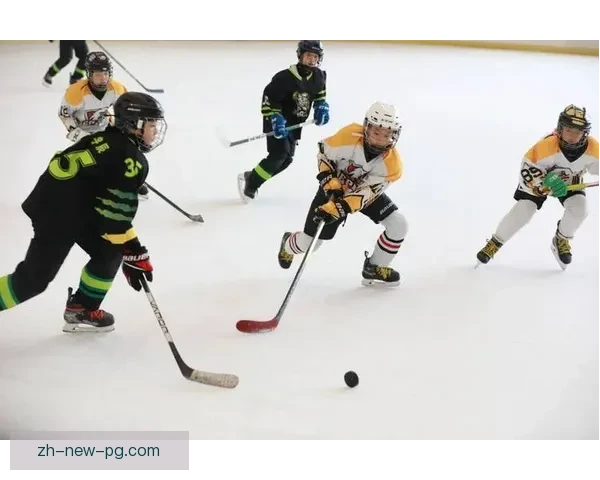 冰球公开赛：冰场上的激烈角逐和热血拼搏