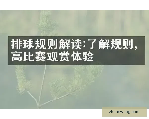 排球规则解读：发球技巧、得分规则及比赛规程详解