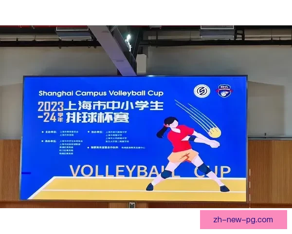 排球杯赛：挑战与荣耀共赴挑战