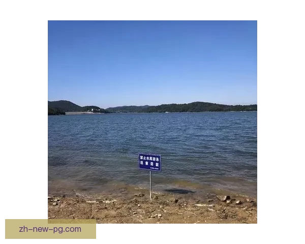 游泳数据分析：深度挖掘泳者表现，解析技术瓶颈