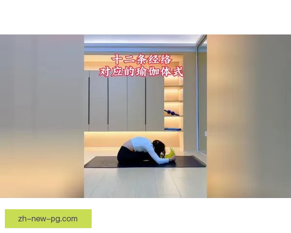 瑜伽教学视频：身心平衡之道