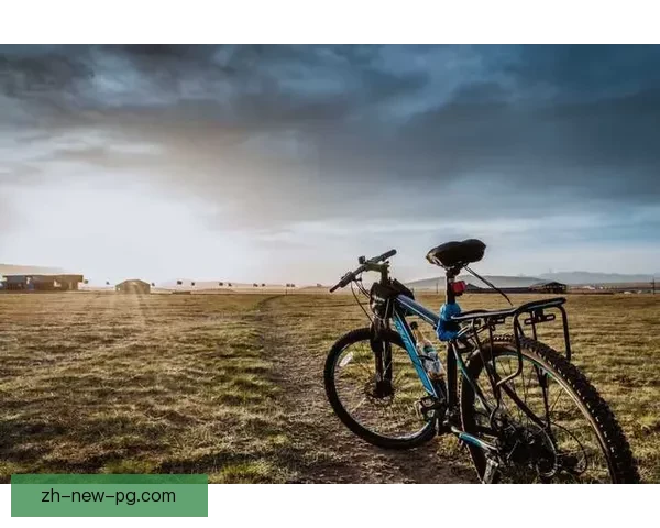 自行车数据分析:骑行趋势、用户画像及出行模式研究 自行车数据分析:骑行趋势、用户画像及出行模式研究