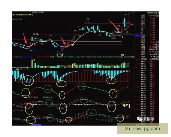 跳水排名分析及未来发展预测